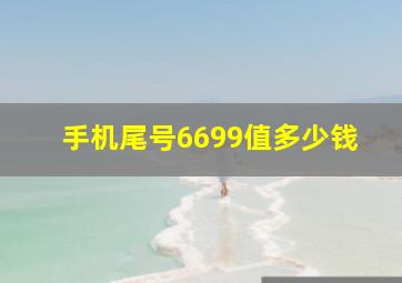 手机尾号6699值多少钱