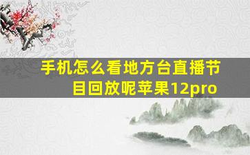 手机怎么看地方台直播节目回放呢苹果12pro