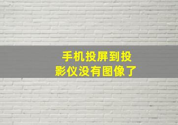 手机投屏到投影仪没有图像了