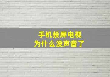 手机投屏电视为什么没声音了