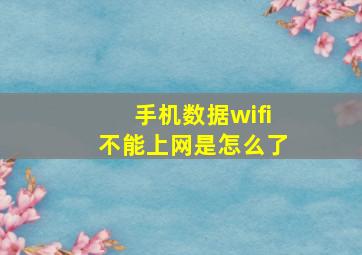 手机数据wifi不能上网是怎么了