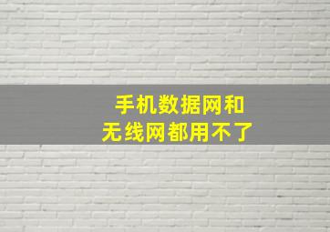 手机数据网和无线网都用不了