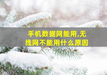 手机数据网能用,无线网不能用什么原因