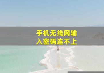 手机无线网输入密码连不上