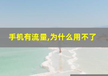 手机有流量,为什么用不了