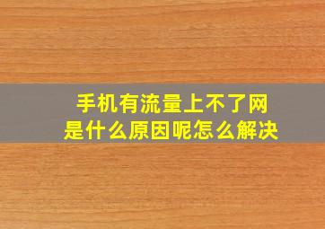 手机有流量上不了网是什么原因呢怎么解决