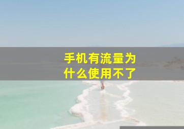 手机有流量为什么使用不了