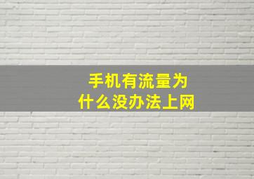 手机有流量为什么没办法上网