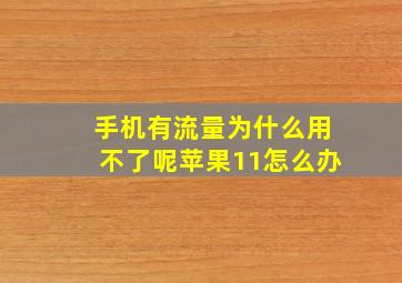 手机有流量为什么用不了呢苹果11怎么办