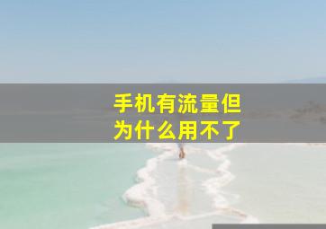 手机有流量但为什么用不了