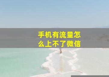 手机有流量怎么上不了微信