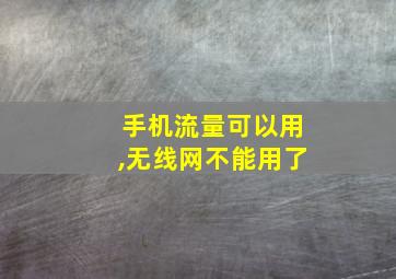 手机流量可以用,无线网不能用了