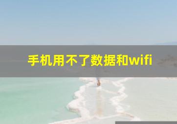 手机用不了数据和wifi