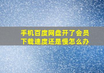 手机百度网盘开了会员下载速度还是慢怎么办