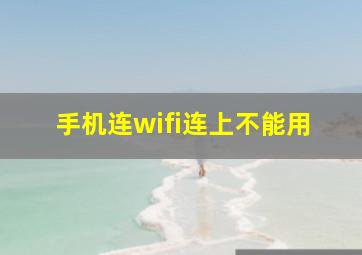 手机连wifi连上不能用