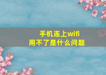 手机连上wifi用不了是什么问题