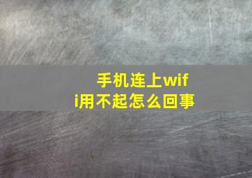 手机连上wifi用不起怎么回事