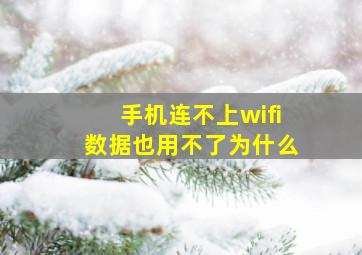 手机连不上wifi数据也用不了为什么