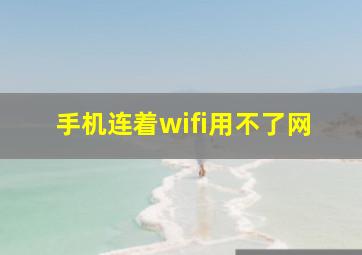 手机连着wifi用不了网