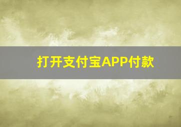 打开支付宝APP付款