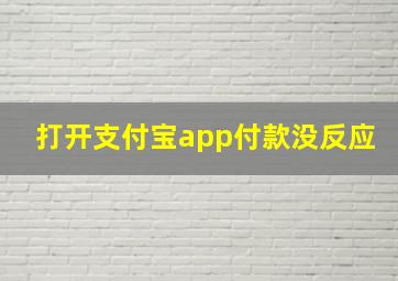 打开支付宝app付款没反应