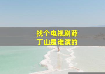 找个电视剧薛丁山是谁演的