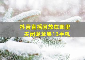 抖音直播回放在哪里关闭呢苹果13手机