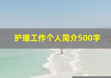 护理工作个人简介500字