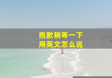 抱歉稍等一下用英文怎么说