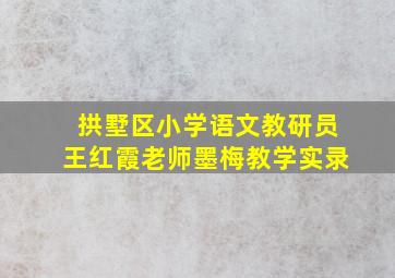 拱墅区小学语文教研员王红霞老师墨梅教学实录