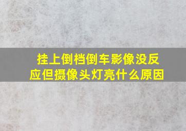 挂上倒档倒车影像没反应但摄像头灯亮什么原因