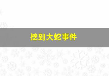 挖到大蛇事件