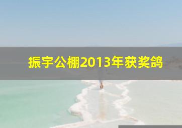 振宇公棚2013年获奖鸽