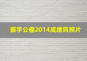 振宇公棚2014成绩鸽照片