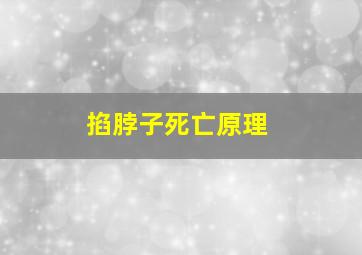 掐脖子死亡原理