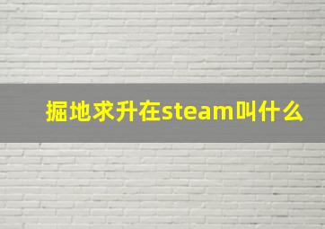 掘地求升在steam叫什么