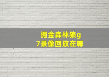 掘金森林狼g7录像回放在哪