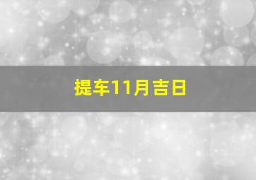 提车11月吉日