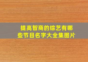 提高智商的综艺有哪些节目名字大全集图片