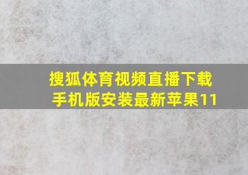 搜狐体育视频直播下载手机版安装最新苹果11