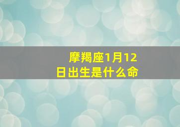 摩羯座1月12日出生是什么命