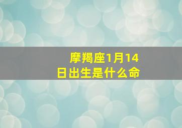 摩羯座1月14日出生是什么命