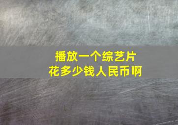 播放一个综艺片花多少钱人民币啊