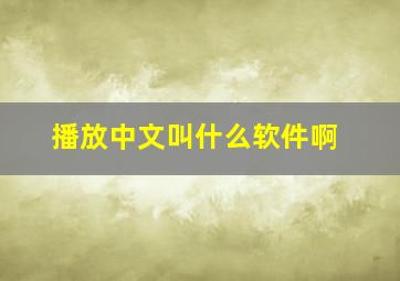 播放中文叫什么软件啊