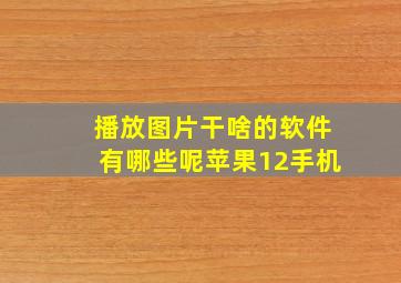 播放图片干啥的软件有哪些呢苹果12手机