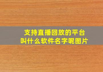 支持直播回放的平台叫什么软件名字呢图片