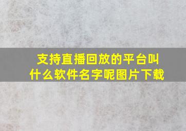 支持直播回放的平台叫什么软件名字呢图片下载