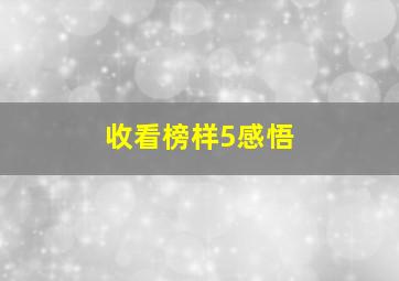 收看榜样5感悟