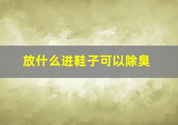 放什么进鞋子可以除臭