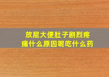 放屁大便肚子剧烈疼痛什么原因呢吃什么药